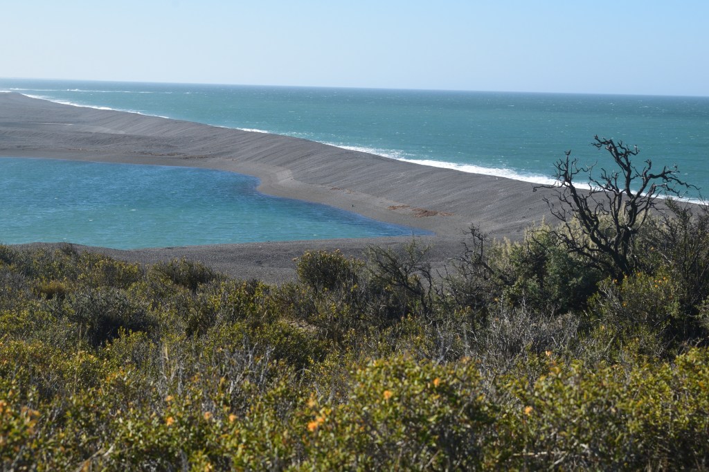 The Atlantic Coast of&nbsp;Patagonia