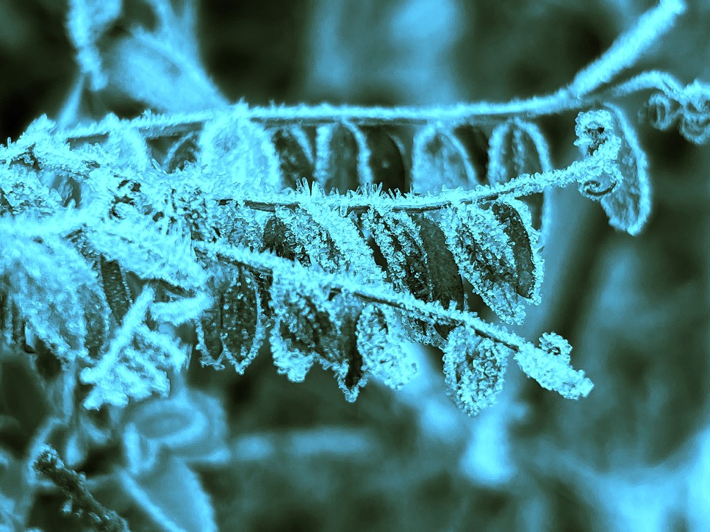 The Art of Doing Nothing – An Unfiltered Vipassana&nbsp;Story