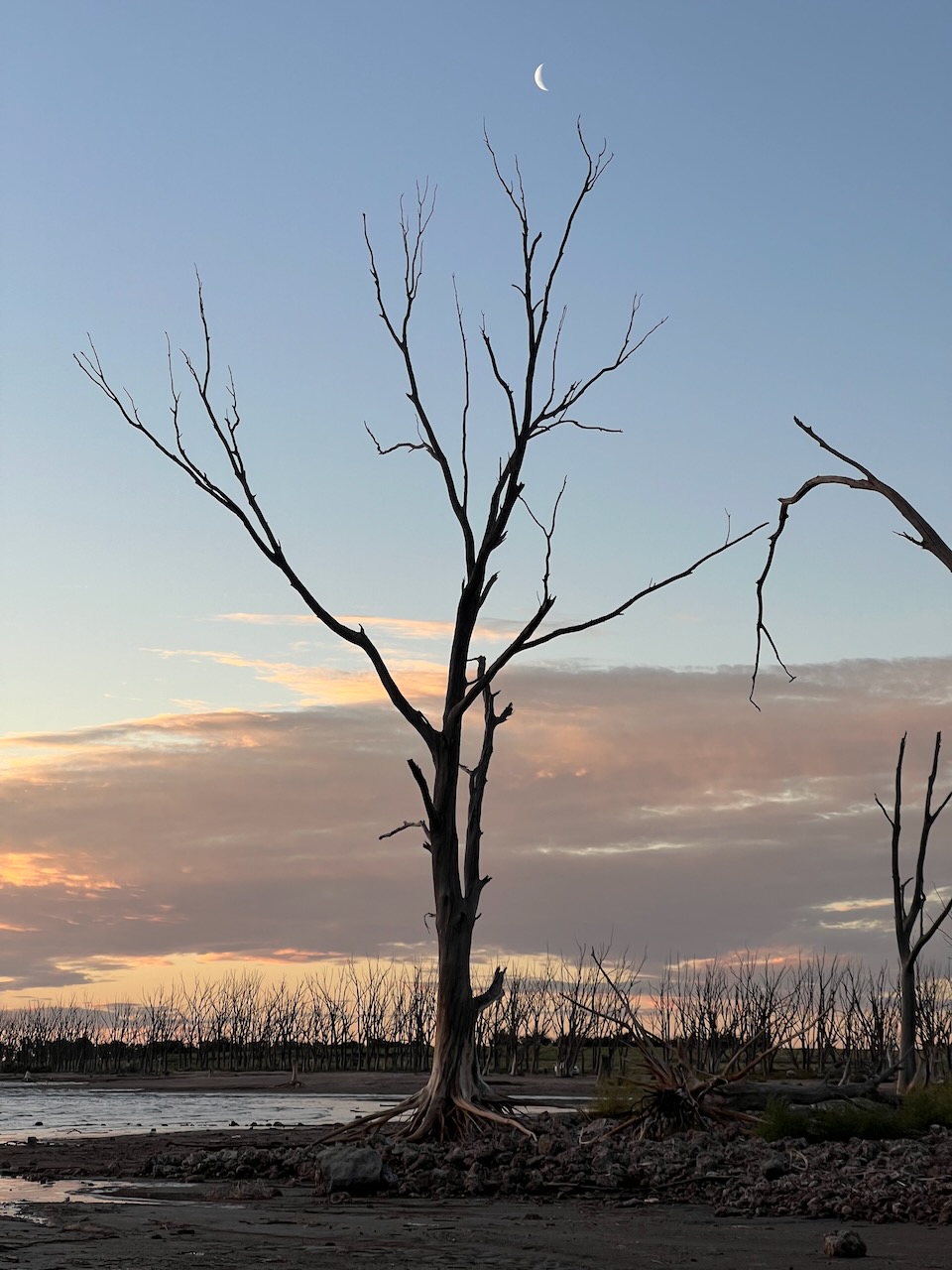 The sunken city of&nbsp;Epecuen